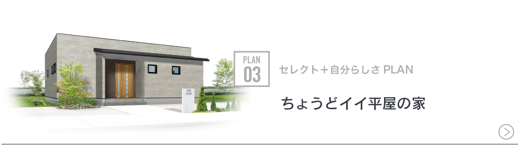 PLAN 03 セレクト＋自分らしさPLAN　ちょうどイイ平屋の家